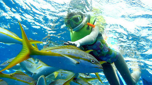 snorkeling