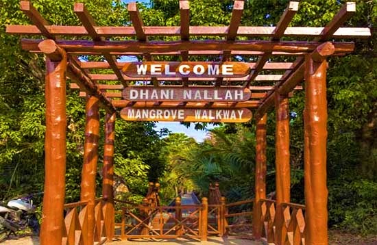 Dhaninalah